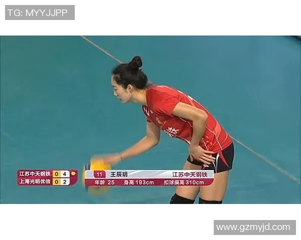 上海排球队反击战术全解析深度剖析排球比赛中的关键时刻与策略