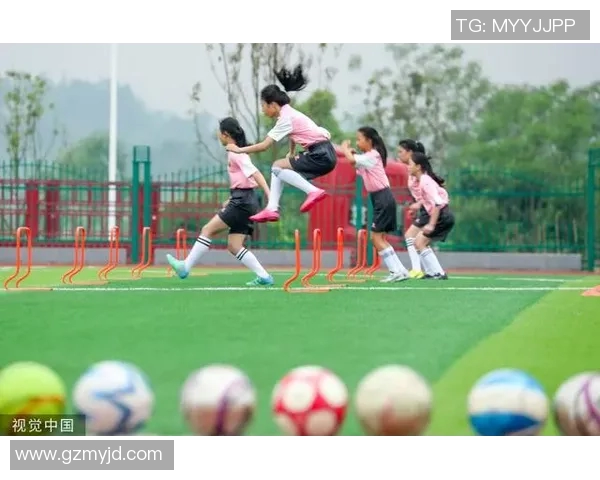 上海排球队快攻战术解析与实战应用探讨