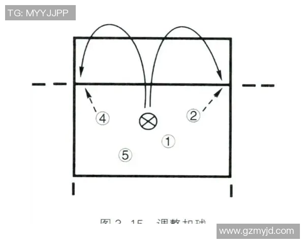 上海排球队的包夹战术解析与深度剖析排球比赛中的应用与影响