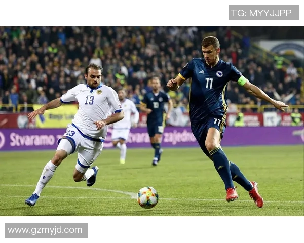 波黑足球现役明星球员全景盘点与成就分析