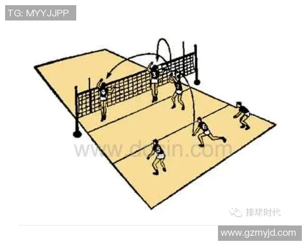 成都排球队挑战赛战术分析与表现点评全面解析