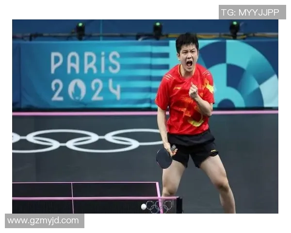 深圳羽毛球队力量之争引发热议背后的真相与思考