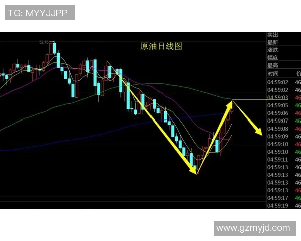 独家解析西安排球队实力对比与战术布局的深度分析