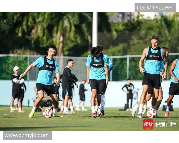 深圳排球队状态变革引发热议球迷期待新篇章